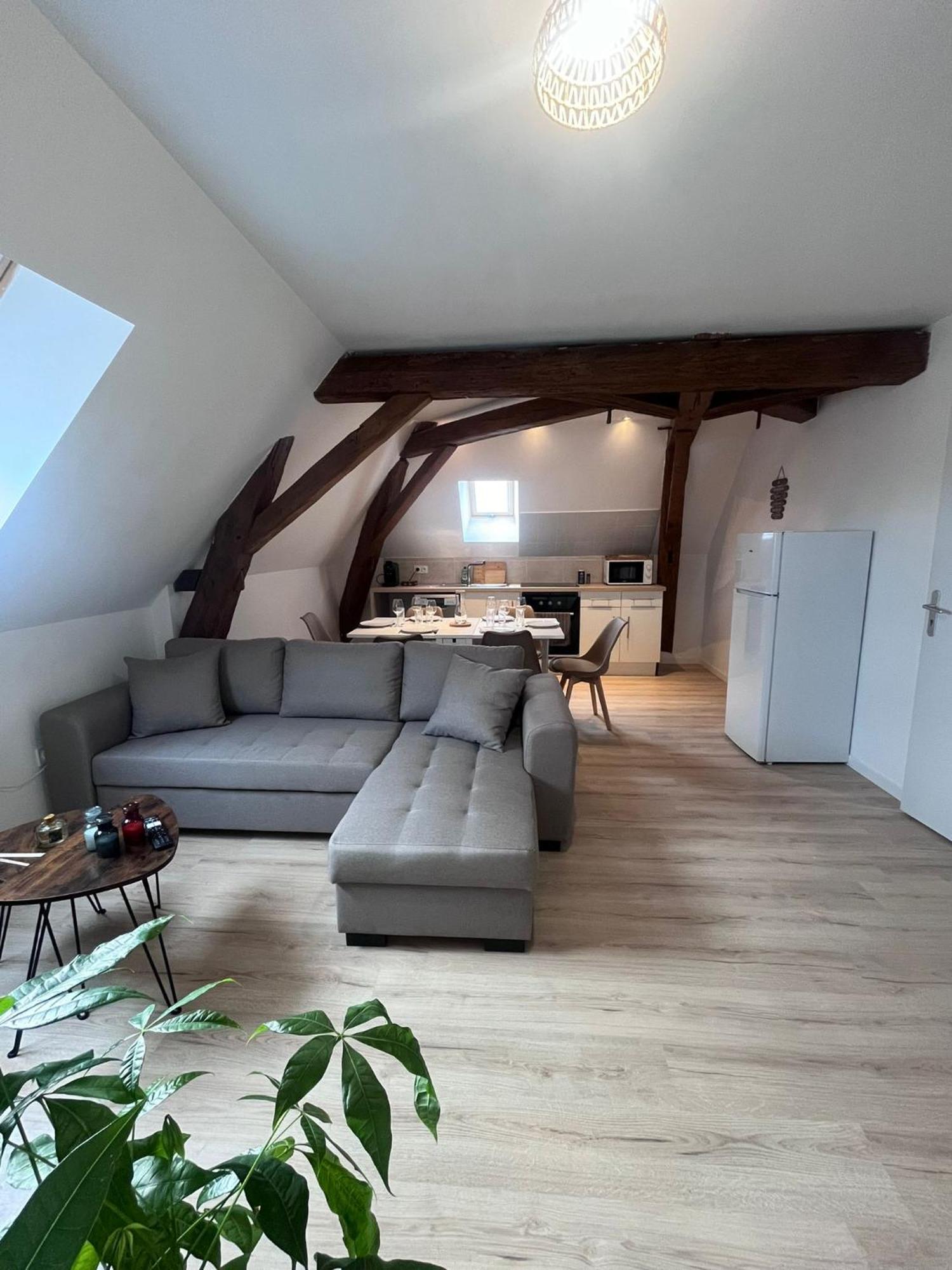 L'Evasion Urbaine - Parking Gratuit - Entree Autonome - Wifi Leilighet Châtellerault Eksteriør bilde